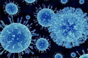 Đơn thuốc chữa sốt virus